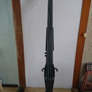 Hallstatt ハルシュタット引き取りのみ