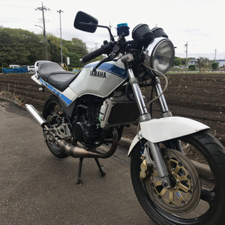 RZ125 1GV YPVS  値段交渉あり