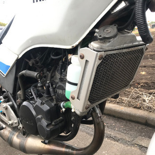 RZ125 1GV YPVS  値段交渉あり