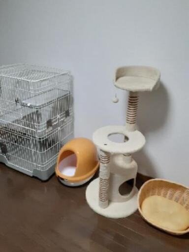 ゲージ、キャットタワー、トイレ、猫ベッド4点セットです
