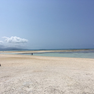 石垣島　友達募集