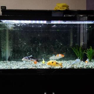 水槽+水槽台セット 90×45×45