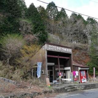 【一泊二日】5月のGWに一緒に塔ノ岳登山してくれる方募集します🗻