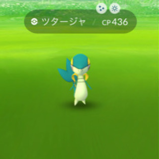 ポケモン仲間の画像