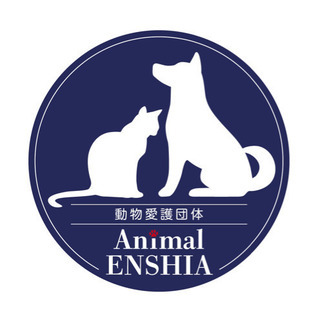 保護犬猫たちのボランティア募集中！