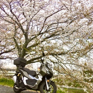 少人数でゆっくりバイクツーリングしませんか？250cc位まで