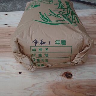 【ネット決済・配送可】令和元年度コシヒカリ　30Kｇ　玄米