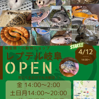 レプテル岐阜　爬虫類・小動物ショップ　岐阜県関市の画像