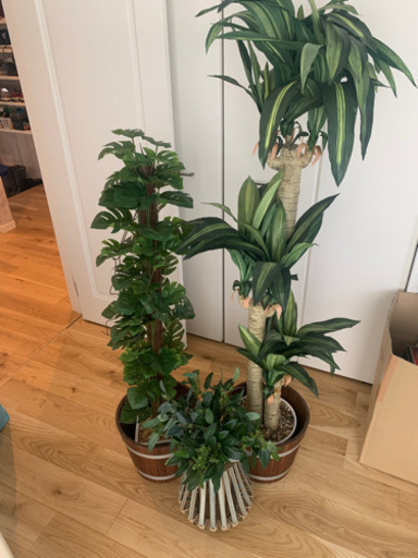 造花観葉植物　モンステラ