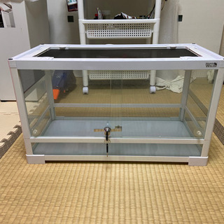 パンテオンの中古が安い!激安で譲ります・無料であげます(6ページ目 ...