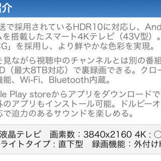 TCL 43P8B テレビ とIO DATA 2TB ハードディスク 【公式通販】