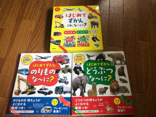 はじめてずかん　2冊セット