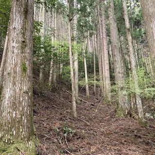 【成約済】山林物件　三重県熊野市神川町