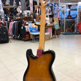 【店頭お渡し】Fender(フェンダー)テレキャス　シンライン　 Crafted in Japan（ダイナ楽器）エレキギター　　 店頭お渡し】Fender(フェンダー)テレキャス シンライン Crafted in