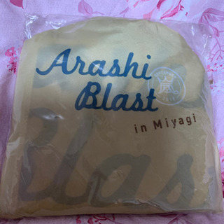 嵐　コンサートツアー　ARASHI  BLAST in  Miy...