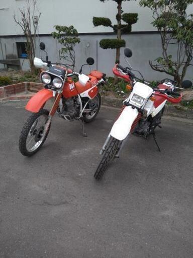 商談中　セロー225  ＆　XLR250バハ