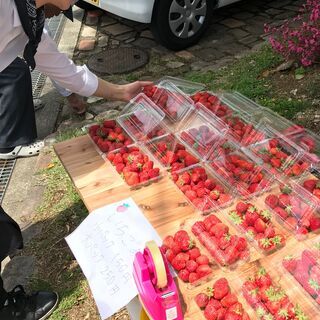 🍓朝摘み苺の販売、ワークショップあり💖第1６回ハンドメイド市