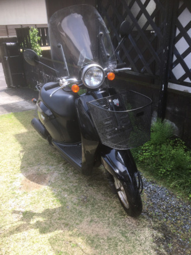 ホンダ　トゥデイ　50cc