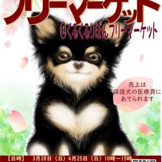 保護犬のための医療費応援フリマ　「GO！保護犬GO」