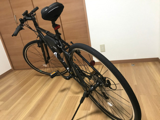 シルヴァ　F24