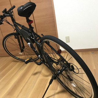 シルヴァ　F24