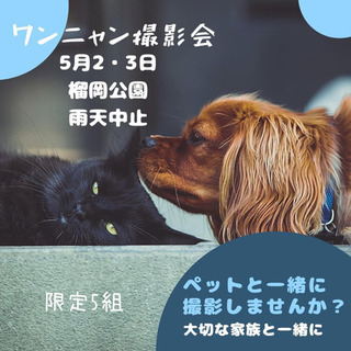 【5月2日、3日開催】ワンニャン撮影会【各日5組限定】