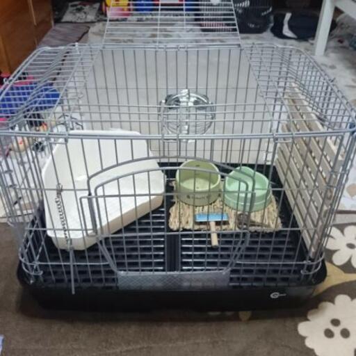 うさぎ 小動物 飼育 オールセット 美品