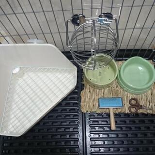 うさぎ 小動物 飼育 オールセット 美品