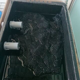ろ過装置