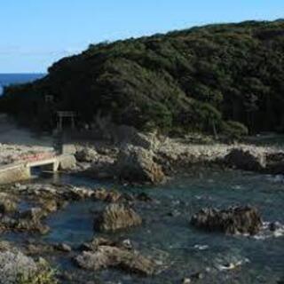 命の尽きた 珊瑚 サンゴをすさみ町の水族館まで運ぶのを手伝っていただけますかの画像