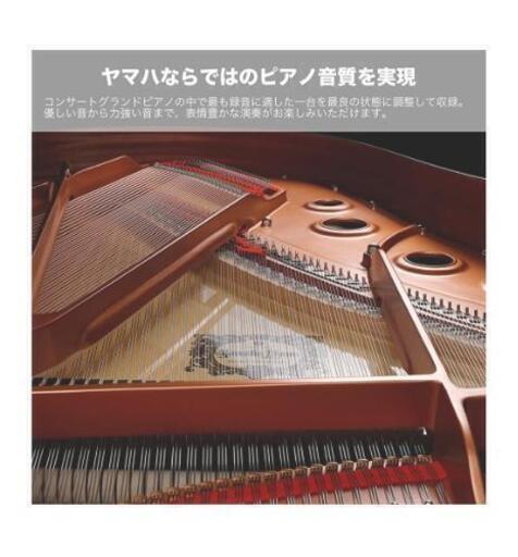 新品・未使用】ヤマハ YAMAHA 電子ピアノ Pシリーズ 88鍵盤 ブラック P