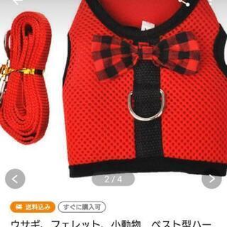 うさぎ 小動物 飼育 オールセット 美品