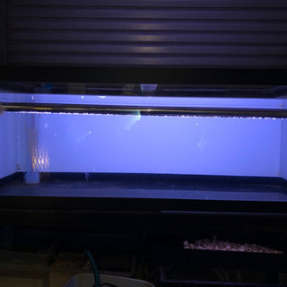 オーバーフロー1200水槽