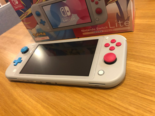 Nintendo Switch ライトとプロコン!! Nintendo Switch ライトとプロコン!!
