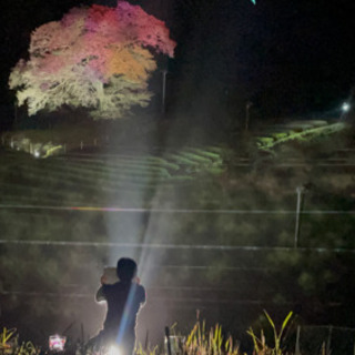 素敵な一本桜の情報教えて下さい − 宮城県