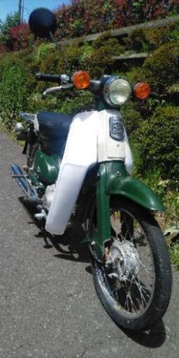 スーパーカブ50　STD　(1355)
