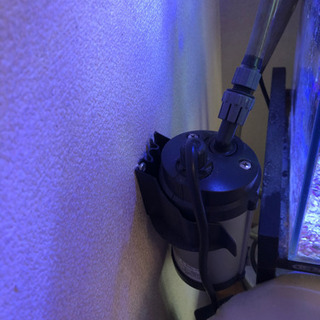 水槽セット(海水)値段変更しました