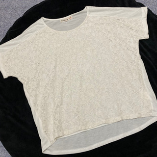 白レースTシャツ(レディース　夏L)