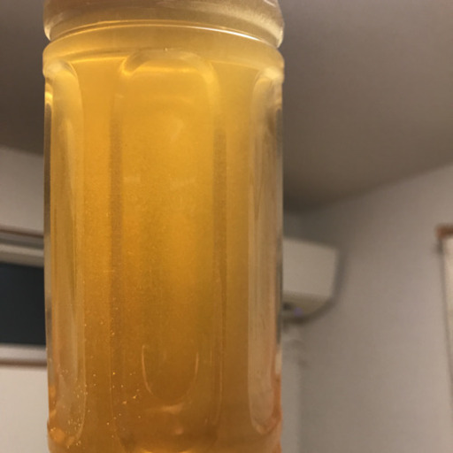 メダカ針子 稚魚餌ゾウリムシ種水 グリーンウォーター グッチ 寺内のその他の中古あげます 譲ります ジモティーで不用品の処分 メダカ針子 稚魚餌ゾウリムシ種水 グリーンウォーター グッチ 寺内のその他の中古あげます 譲ります ジモティーで不用品の処分