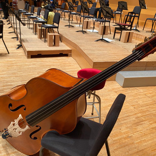 専用 コントラバス含む8体 No.28 コントラバス | suzukiviolin