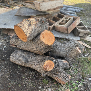 薪にどうぞ！　伐採木　木製廃材