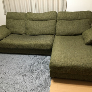 ヒュウガトウキのすべて―東洋医学で学ぶ健康づくり