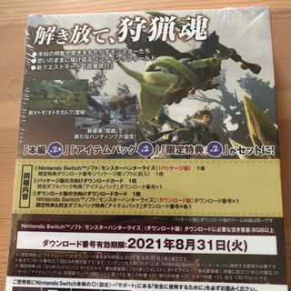新品】Switchモンスターハンターライズ狩友ダブルパック
