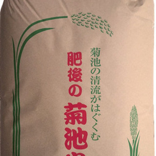 【ネット決済】菊池米 5kg 新米 玄米 先着1名限定 交渉中