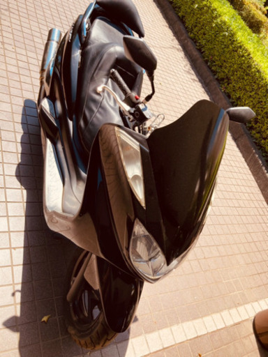 マジェスティ　250cc