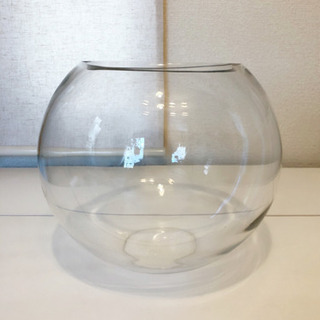 丸い水槽　金魚鉢　アクアリウム　23cm