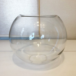 東京都の中古金魚鉢が無料 格安で買える ジモティー 東京都の中古金魚鉢が無料 格安で買える ジモティー