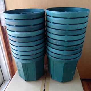 中古スリット鉢が無料 格安で買える ジモティー