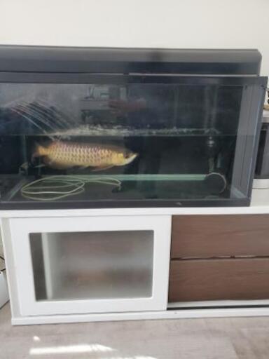 水槽90センチ