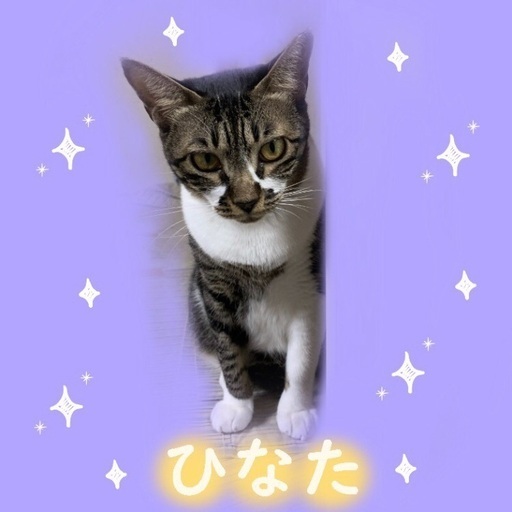 人慣れる